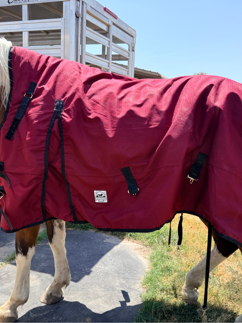 Water-Resistant Maroon Horse Blanket with Secure Straps - Rugged Ride 81